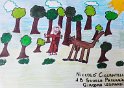 Nicolo-Ciccantelli-1B