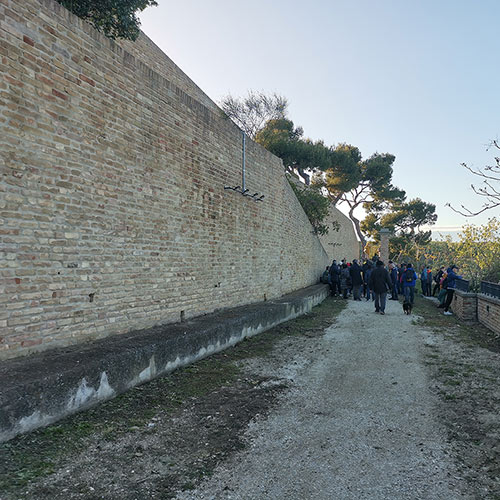 M°Nazzareno Tomassetti:MEDINA ROMA ART GALLERY